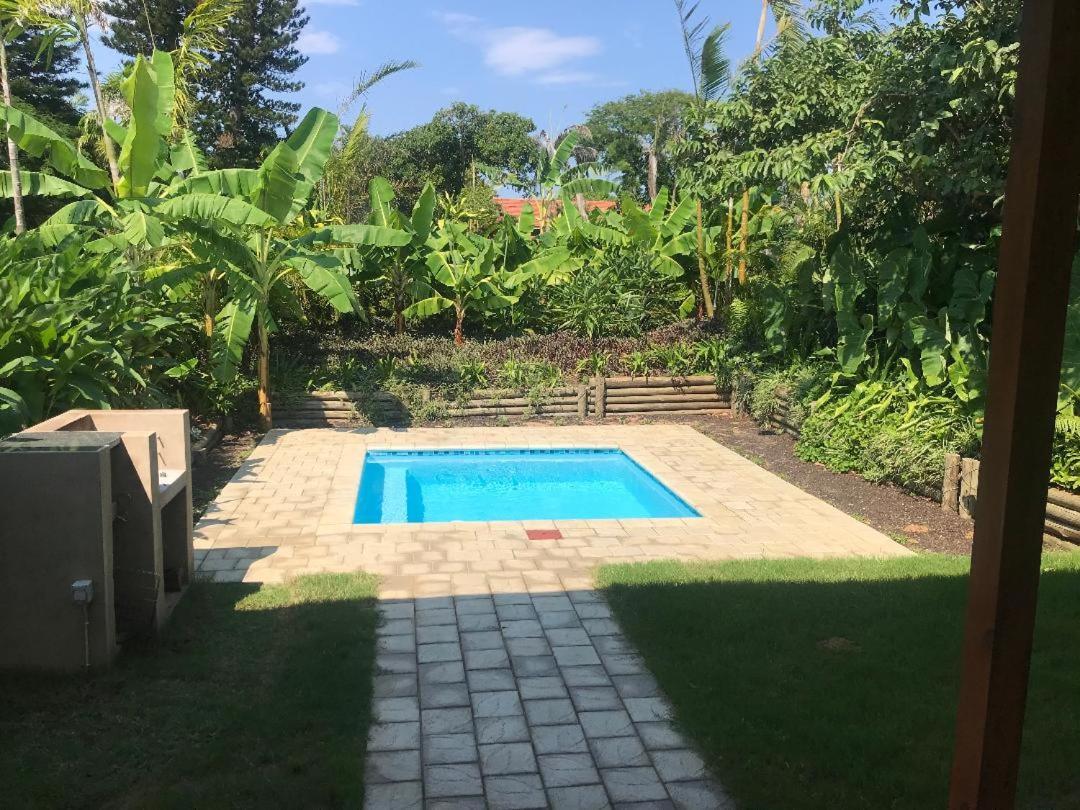 62 Hornbill Street Villa Japaratinga Ngoại thất bức ảnh